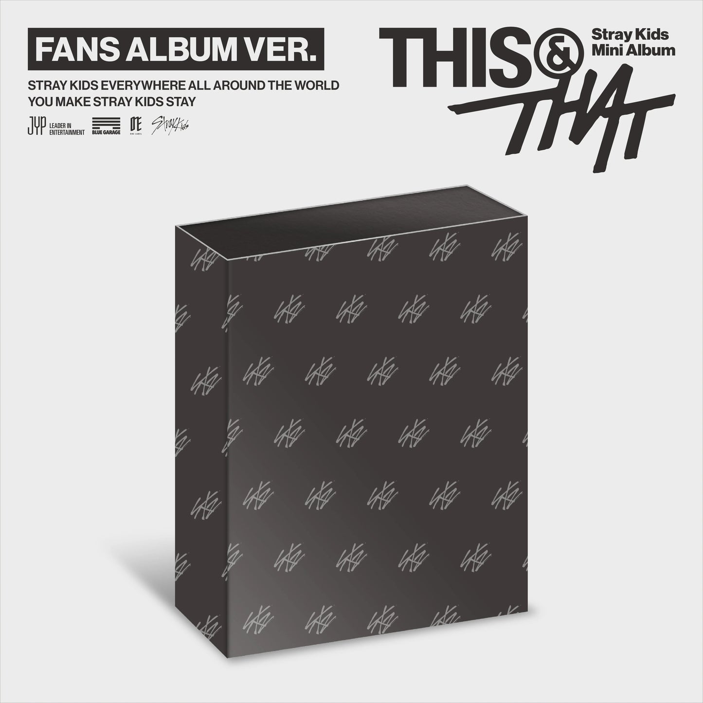 STRAY KIDS MINI ALBUM [ THIS & THAT ] FANS ALBUM VER.